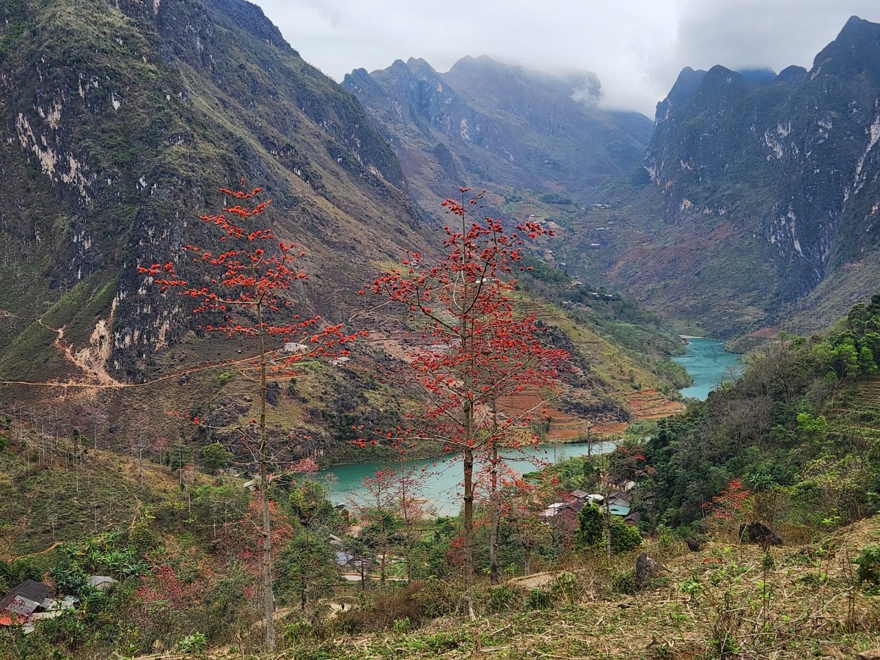 7-Day Ha Giang Loop Cycling Adventure: Bao Lac to Dong Van & Ma Pi Leng